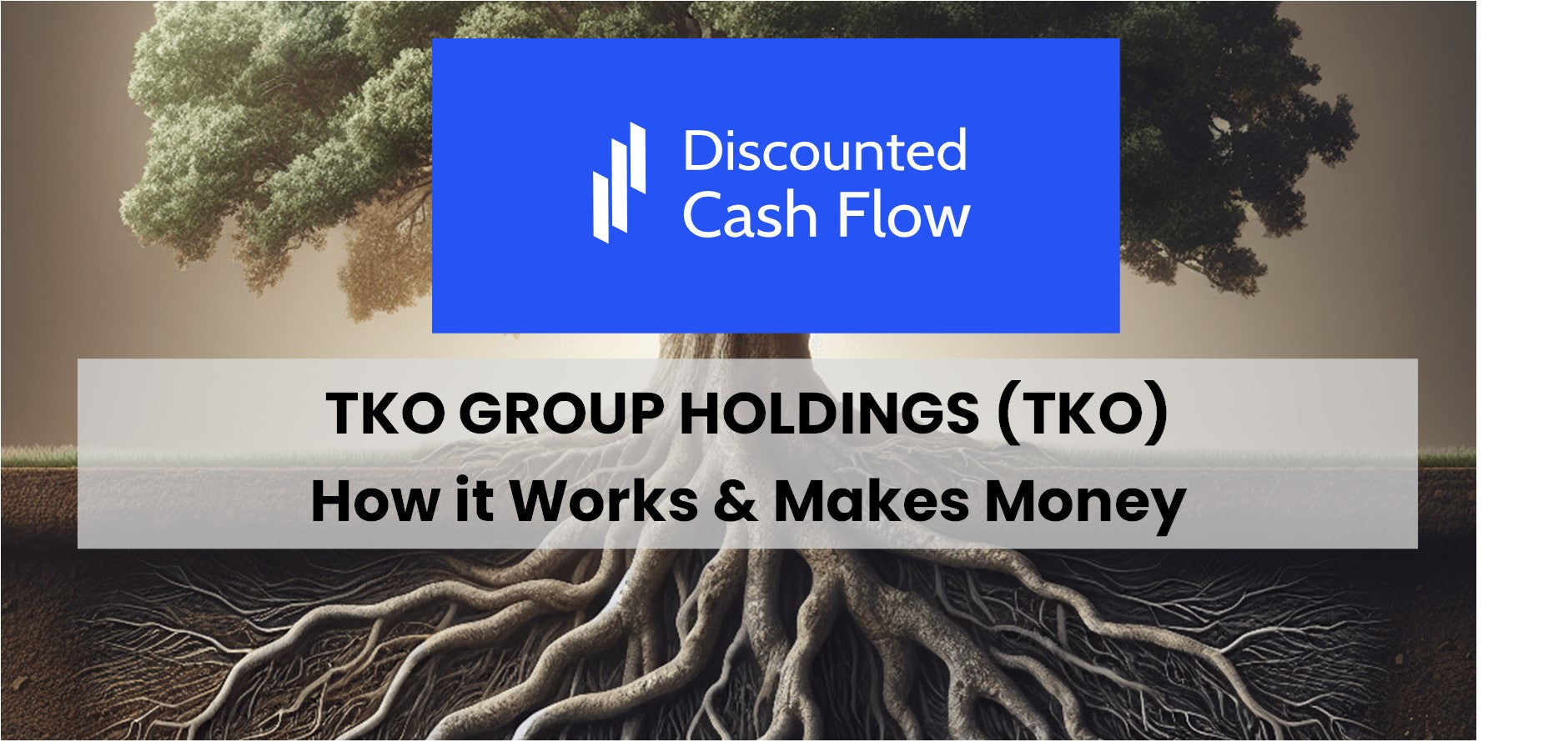 TKO Group Holdings (TKO): history, ownership, mission, how it works ...