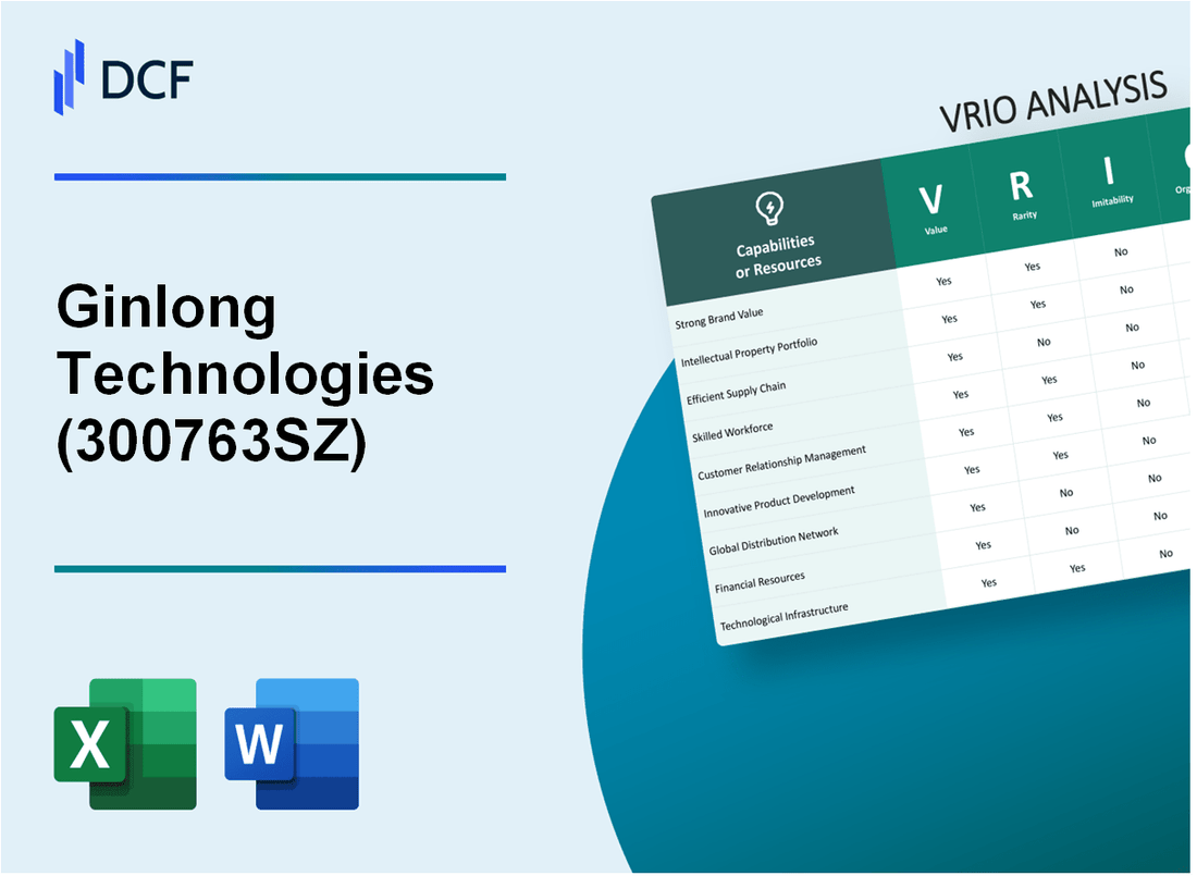 Ginlong Technologies Co., Ltd. (300763.SZ): VRIO Analysis