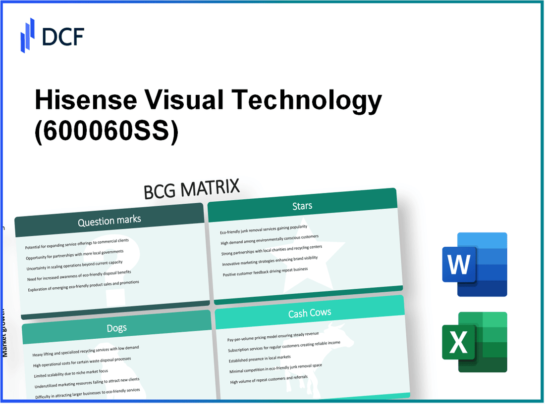 Hisense Visual Technology Co., Ltd. (600060.SS): BCG Matrix