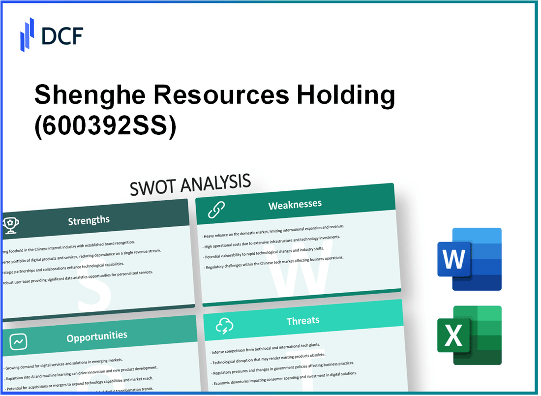 Shenghe Resources Holding Co., Ltd (600392.SS): SWOT Analysis