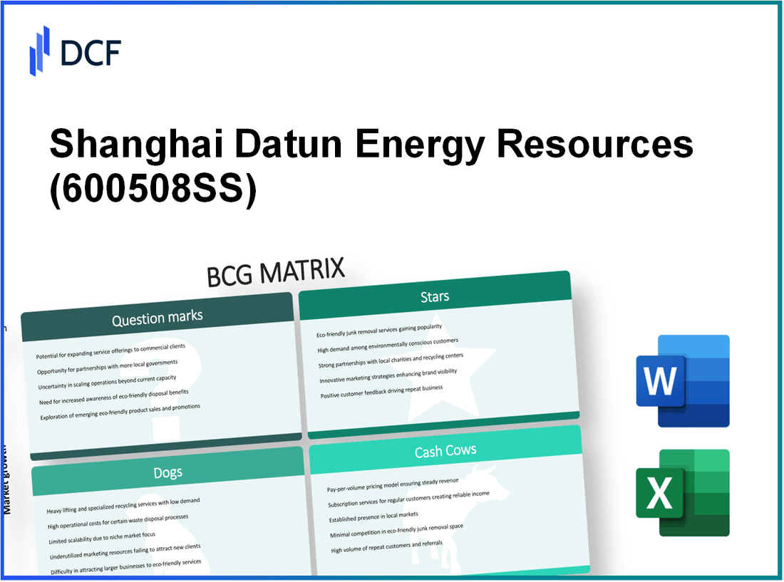 Shanghai Datun Energy Resources Co., Ltd. (600508.SS): BCG Matrix