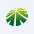 Ningbo Shanshan Co.,Ltd. (600884.SS) Logo