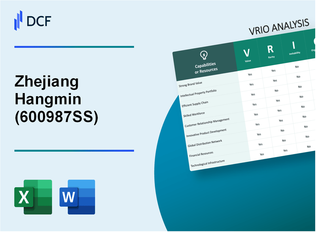 Zhejiang Hangmin Co.,Ltd (600987.SS): VRIO Analysis