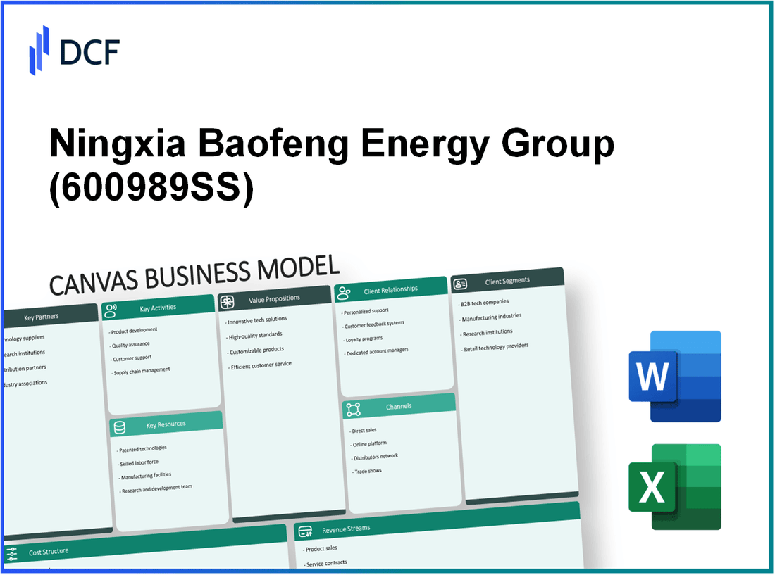 Ningxia Baofeng Energy Group Co., Ltd. (600989.SS): Canvas Business Model