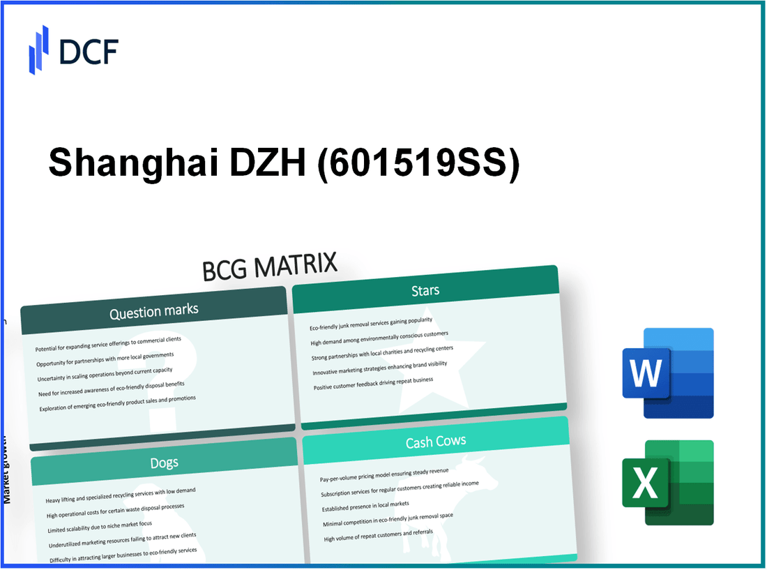 Shanghai DZH Limited (601519.SS): BCG Matrix