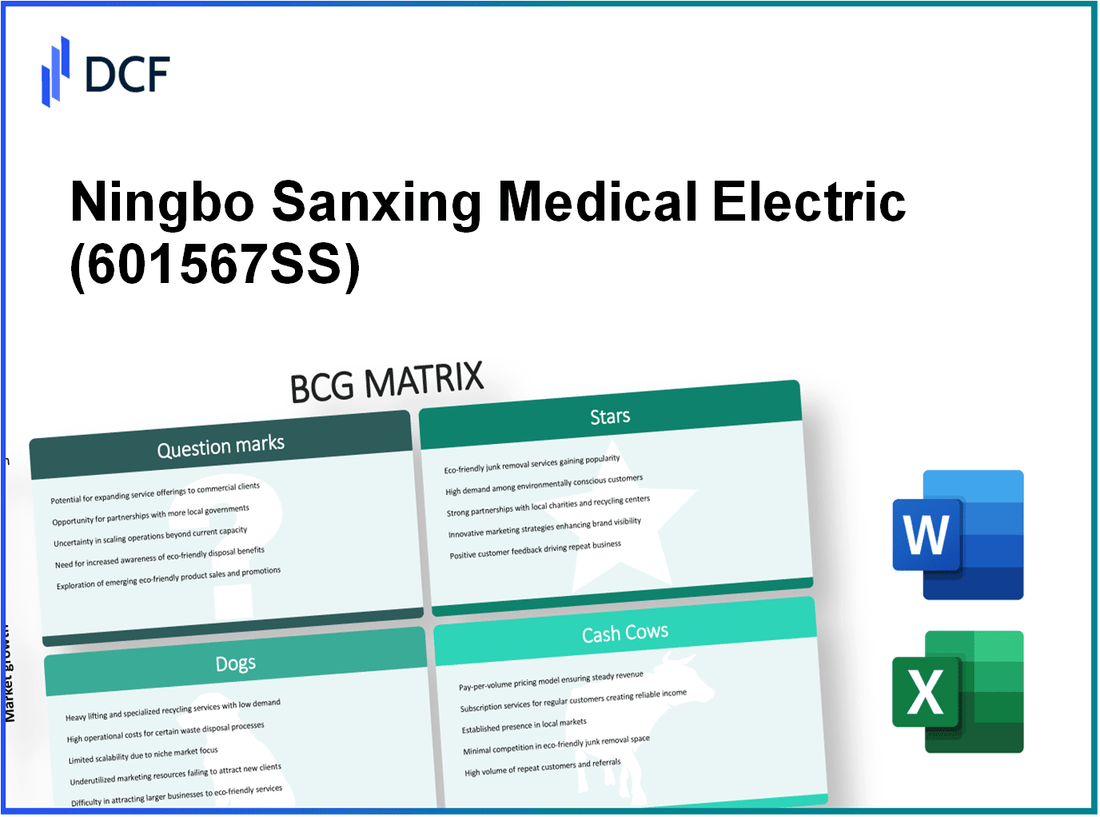Ningbo Sanxing Medical Electric Co.,Ltd. (601567.SS): BCG Matrix