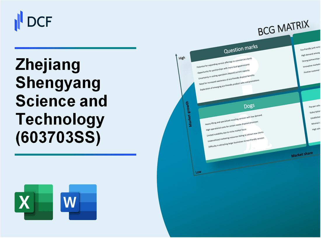 Zhejiang Shengyang Science and Technology Co., Ltd. (603703.SS): BCG Matrix