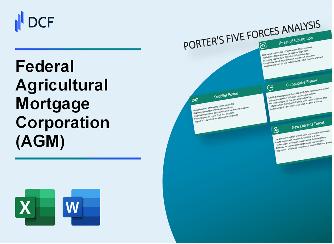 Federal Agricultural Mortgage Corporation (AGM) Porter's Five Forces Analysis