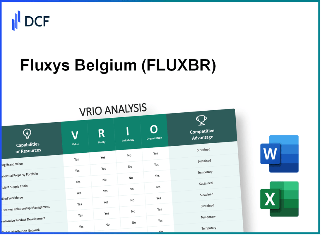 Fluxys Belgium SA (FLUX.BR): VRIO Analysis