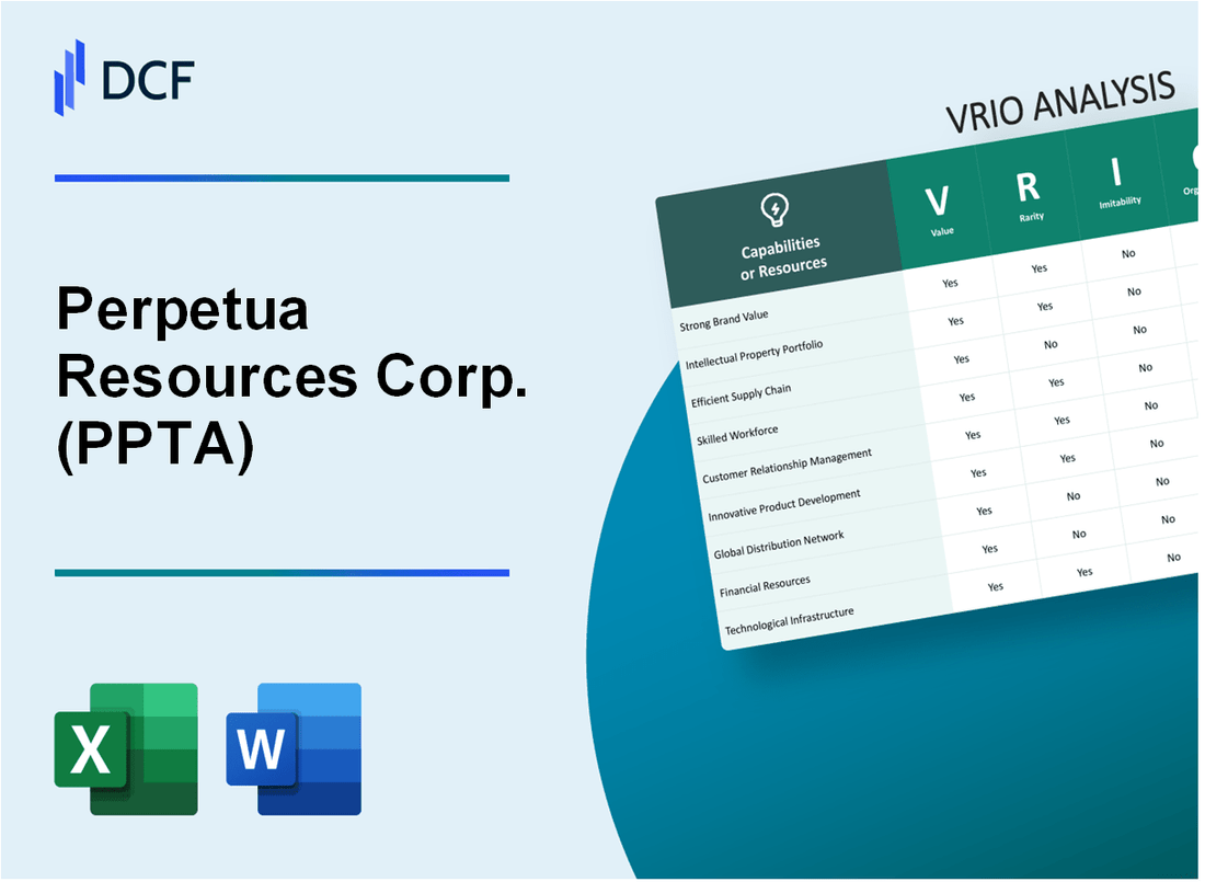 Perpetua Resources Corp. (PPTA) VRIO Analysis